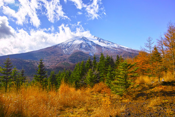 紅葉シーズンの富士山

