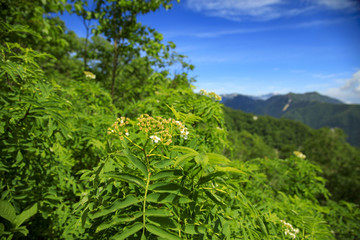 北アルプス 燕岳 大天井岳 槍ヶ岳 表銀座縦走 48