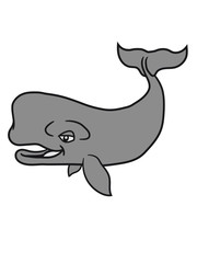 grauwal blauwal pottwal buckelwal wal meeressäuger groß riesig fisch schwimmen meer see tauchen