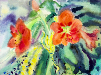Fototapeta na wymiar Landscape original painting on paper colorful of Amaryllis flowers