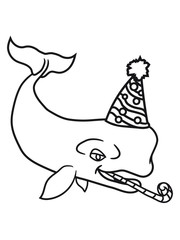 geburtstag feiern party geschenke hut grauwal blauwal pottwal buckelwal wal meeressäuger groß riesig fisch schwimmen meer see tauchen