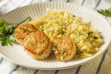 Panned Seared Scallops in Broth
