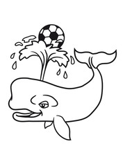fußball spielen verein spaß wasser spritzen fontäne grauwal blauwal pottwal buckelwal wal meeressäuger groß riesig fisch schwimmen meer see tauchen