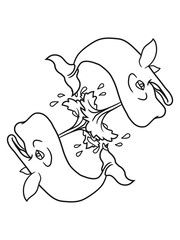 2 freunde wasser spritzen fontäne grauwal blauwal pottwal buckelwal wal meeressäuger groß riesig fisch schwimmen meer see tauchen