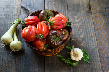 Fresh Organic Tomatoes in a basket and basil with garlik on a wooden table.