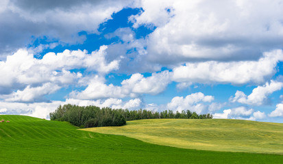 Alberta hilly landscape