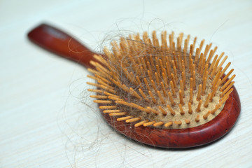 Hair in a comb