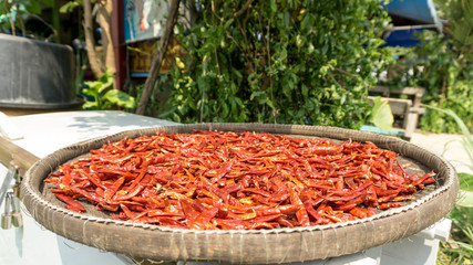 Dried red chillis are preserved by sunlight.