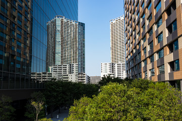 (東京都ｰ都市風景)豊洲ビル群と並木道９