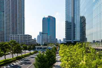 (東京都ｰ都市風景)豊洲ビル群と並木道５