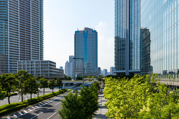 Obraz premium (東京都ｰ都市風景)豊洲ビル群と並木道５