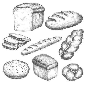 Hand drawn bread bakery set, black and white draft sketch isolated on white background. Vintage vector food illustration.