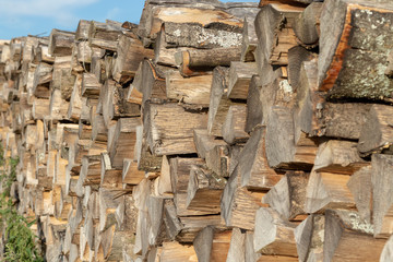 Stacked cuttes firewood of beech trees