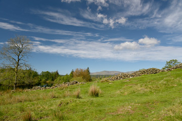 Obraz premium Path over Claife Heights in the Lake District