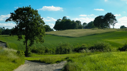 Country landscape, typical Polish nature.