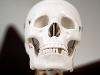 human skull on black background