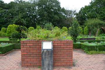 埼玉県滑川町の森林公園