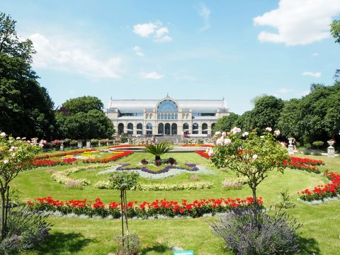 Botanical garden Flora in Cologne on a a sunny summer day with coloured flowers and blue sky in the background, a beautiful place for a visit.