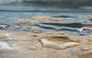 Fototapeta na wymiar Water drops on old boards