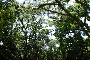 Obraz premium Australia