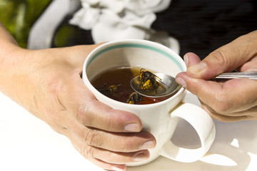 Wasp In Tea Cup