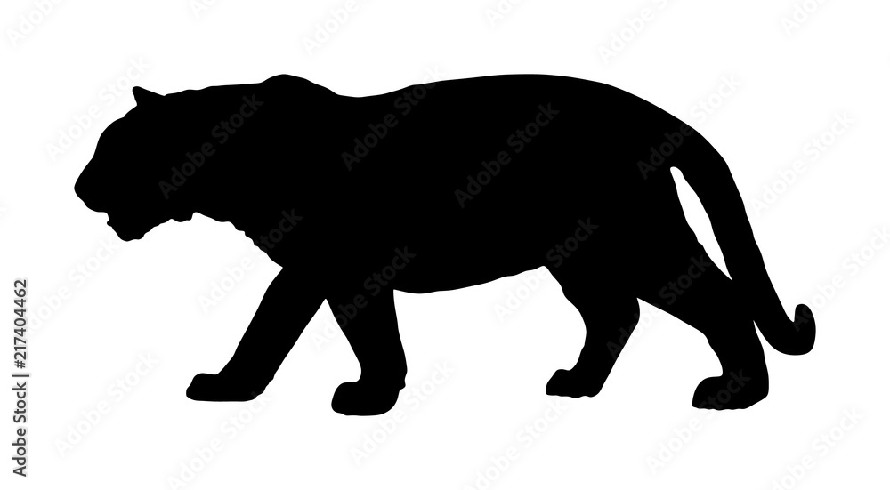 Wall mural Tiger vector silhouette illustration isolated on white background. Big wild cat. Siberian tiger (Amur tiger - Panthera tigris altaica) or Bengal tiger. - Wall murals