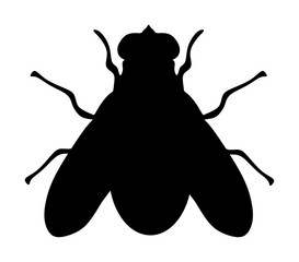 Fly icon silhouette vector illustration isolated on white background. House fly insect.