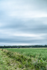 Obraz premium Barns in Farmfield