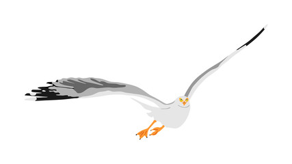 Naklejka premium Seagull fly on sky, isolated on white background vector illustration, sea or ocean bird with spread wings. Bird fly silhouette.