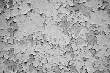 Grunge monochrome texture of the old wall with pieces of plaster