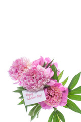 bouquet of blooming peonies on white background