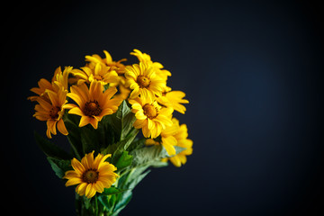 bouquet of yellow big daisies on a black