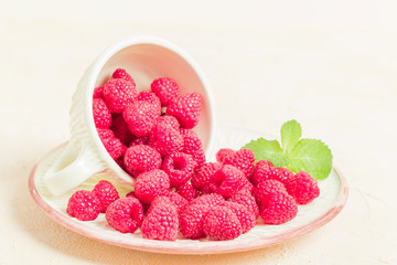 Ripe raspberries with green mint leaves in cup and saucer on pastel yellow background.