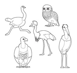 African Bird Coloring Book Owl Ostrich Crane Vulture Stork Cartoon Vector Set