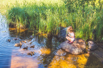 child is feeding ducks in the river, ducks in the reeds