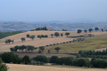 Fototapeta na wymiar panorama,italy,landscape,hill,field,countryside,view,summer,crops