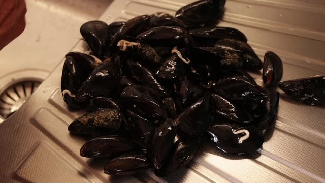 La cuoca pulisce le cozze nel lavandino