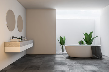 Loft large white bathroom interior, tub and sink