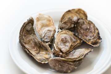 Fresh oysters. Raw fresh oysters on white round plate, image isolated, with soft focus. Restaurant delicacy. Saltwater oysters.