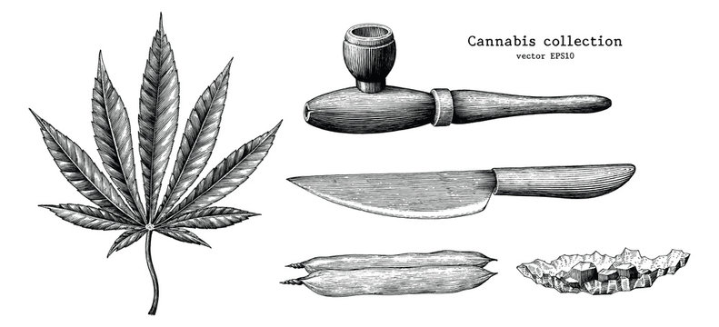 Cannabis collection hand draw vintage clip art isolated on white background