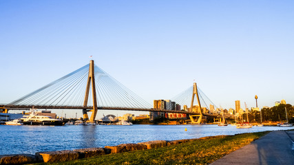 Anzac bridge over Blackwattle Bay in the evening, view form the Blackwattle Bay public park with AMP Tower in the background