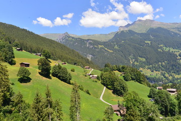 Naklejka na ściany i meble Grindelwald-Holenstein im Berner Oberland 