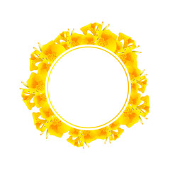 Yellow Canna lily Banner Wreath