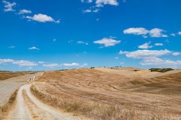 Fototapeta premium Tuscany holidays. Italy holidays tuscany. Summer landscape in Tuscany with fields, blue sky and road, Italy, Europe.