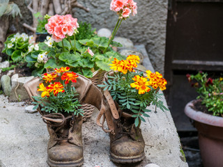 Decoration: Colorful flowers in boots on stone wall with other flowes in background. deco