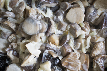 Sour cream sauce with mushrooms and onion. Very appetizing and delicious broth with mushrooms. Macro of food. Useful and sports nutrition for every day