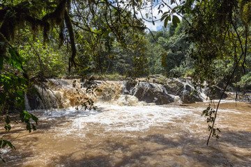 Small rivers in the forests of Kenya. Landscapes in Kakamega Forest. Africa