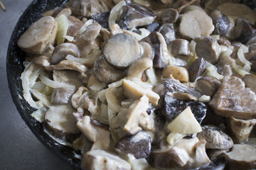 Sour cream sauce with mushrooms and onion. Very appetizing and delicious broth with mushrooms. Macro of food. Useful and sports nutrition for every day