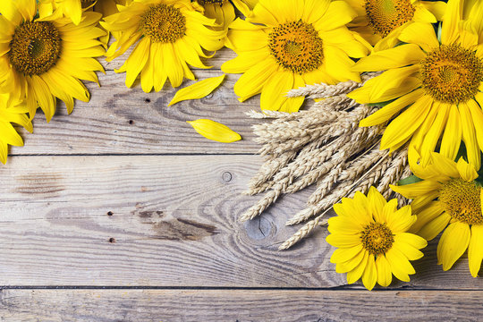 Background with yellow sunflowers and wheat ears on a old wooden boards.