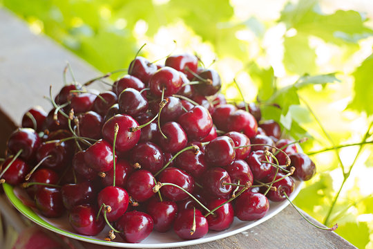 cherry cherries ripe bright in drops of dew abundance